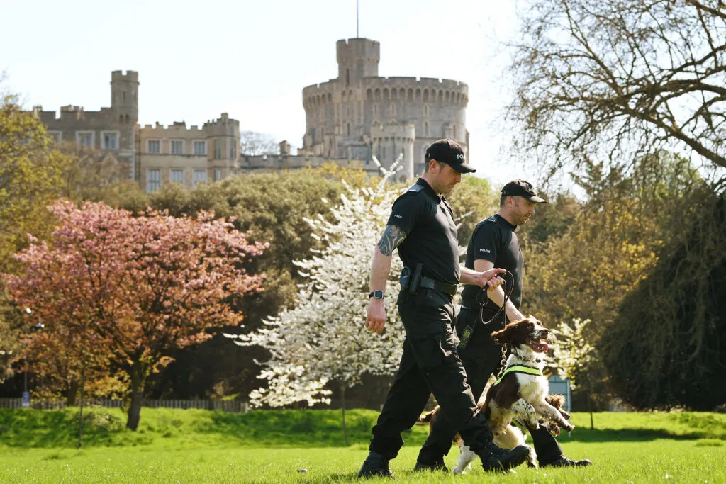 PC Jim Hyman with Yury and PC Paul Shutler with Gus of Thames Valley Police Joint Operations Dog Unit prepare security in Windsor ahead of the 2018 royal wedding — a reminder of the expense and planning such roles demand.