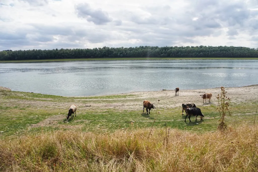 Danube: at Europe's edge, the river meets the Black Sea